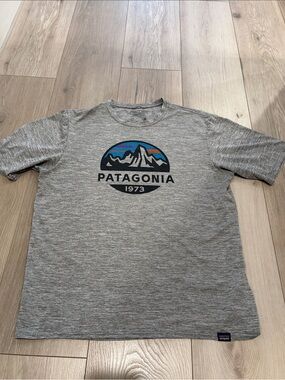 Patagonia Gray Short Sleeve Logo Tee with Multicolor Mountain Graphic